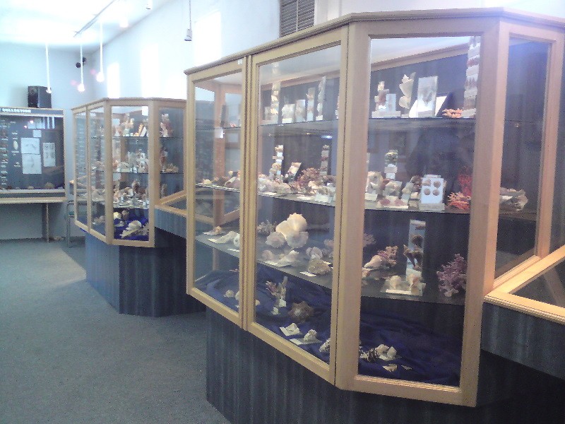 Display Cases